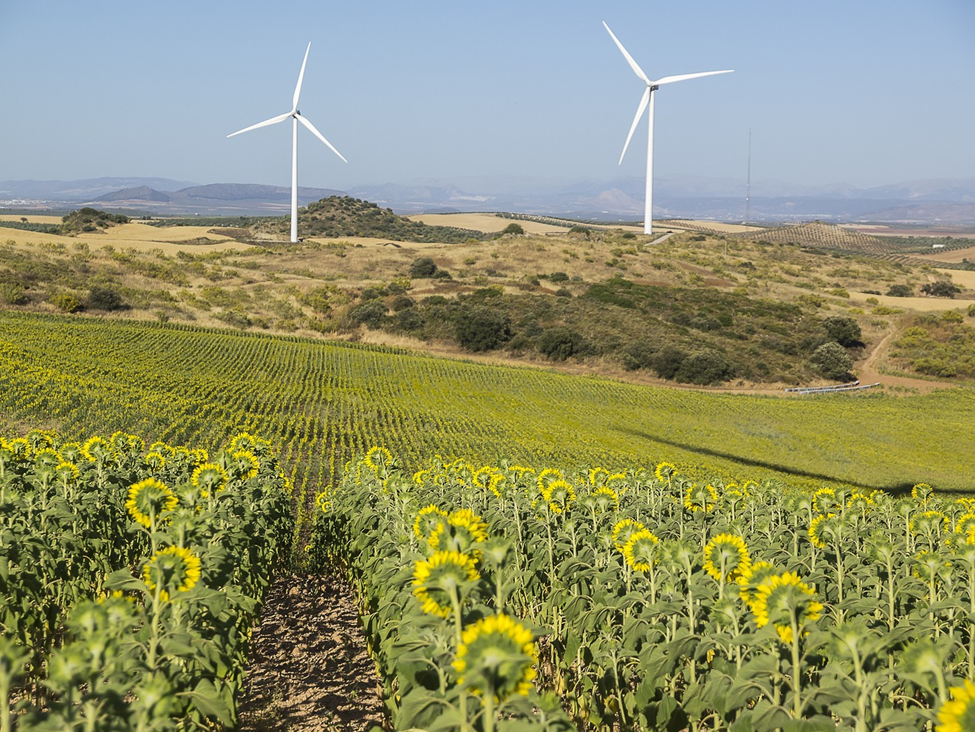 Renewable Energy Renewable Energy